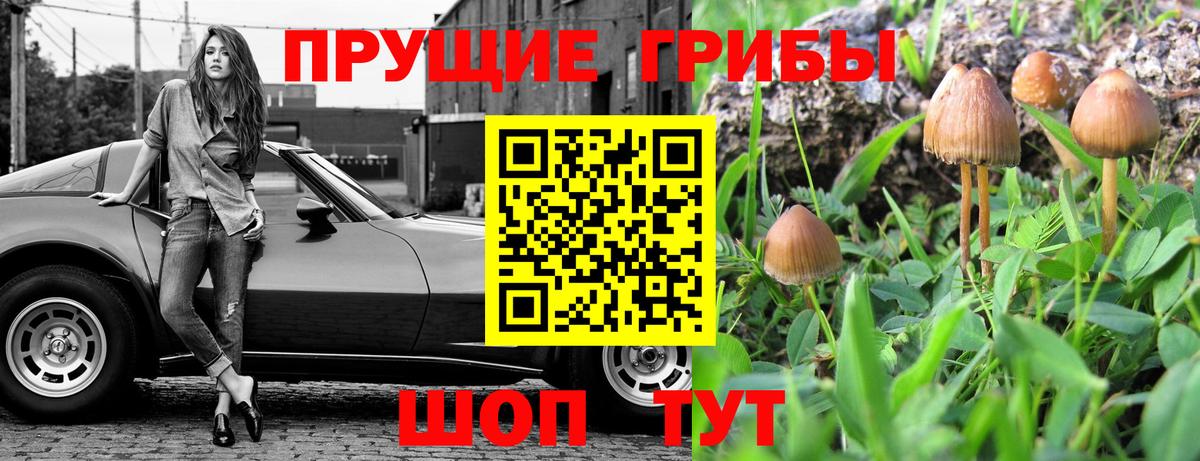 Псилоцибиновые грибы Psilocybine cubensis Наро-Фоминск